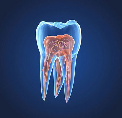 kanal tedavisi – Özel İlke Ağız ve Diş Sağlığı Polikliniği