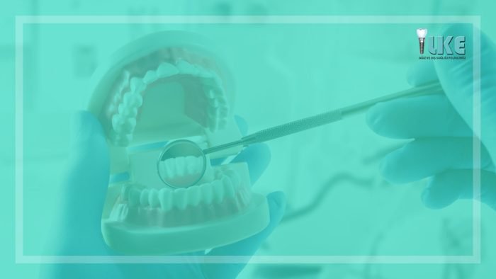 agiz ve dis sagliginin onemi blog banner – Özel İlke Ağız ve Diş Sağlığı Polikliniği